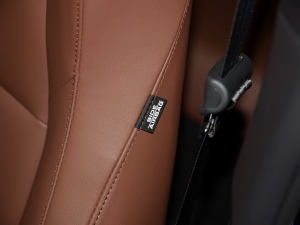 2022J(dng) 2.0L Ű п؅^(q)