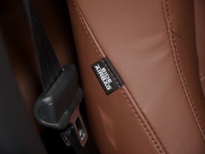 2022J(dng) 2.0L Ű п؅^(q)