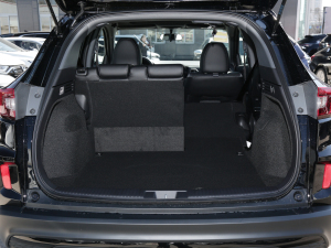 2022220TURBO CVTʯ g