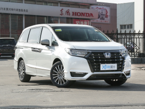 20222.0L e:HEV  ǰ45