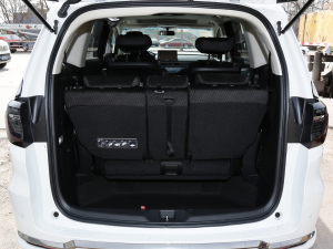 20222.0L e:HEV (jng) g