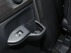 20222.0L e:HEV (jng) T(ch)g