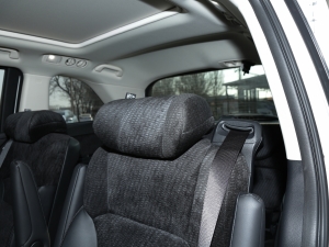 20222.0L e:HEV (jng) g