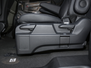 20222.0L e:HEV (jng) g