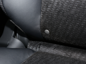 20222.0L e:HEV (jng) g