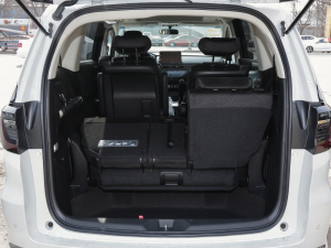 20222.0L e:HEV (jng) g