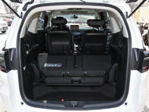 20222.0L e:HEV (jng) g