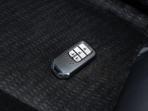 20222.0L e:HEV  ܇耳