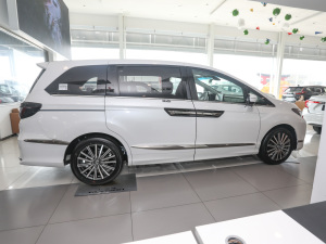 20222.0L e:HEV m ȣң