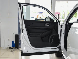 20231.5L CVTᳱ {λ܇T