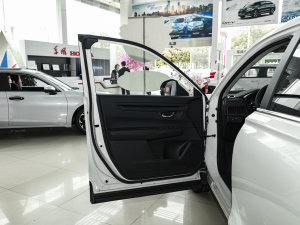 2023款240TURBO 两驱睿型版 5座 驾驶位车门