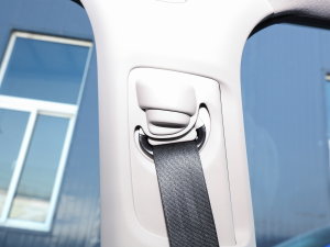 2023HATCHBACK 2.0L e:HEV Oװ g