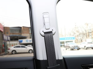 2023e:PHEV 2.0L I(lng)ҫ g