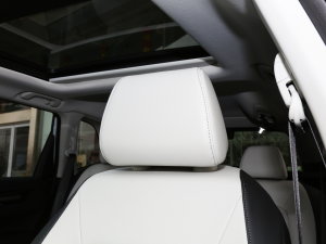 2023e:PHEV 2.0L I(lng)ҫ g