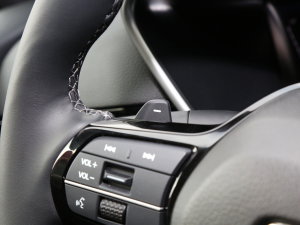 2023e:PHEV 2.0L Iҫ п؅^