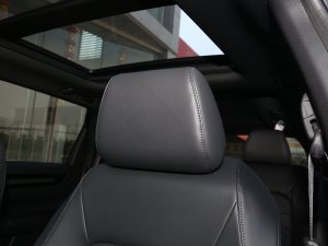 2023e:PHEV 2.0L I(lng)Խ g