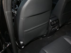 2023e:PHEV 2.0L IԽ g