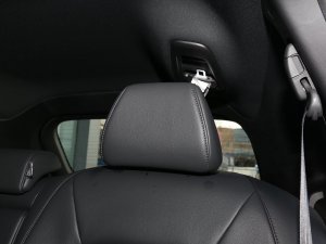 2023e:PHEV 2.0L IԽ g