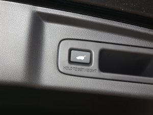 2023e:PHEV 2.0L IԽ g