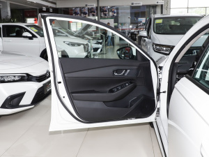 2023款260TURBO 精致版 驾驶位车门