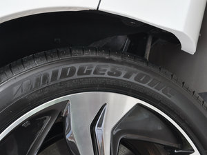 2015款2.4L DCT 尊耀版 轮胎品牌