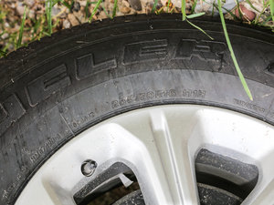 20172.5L ԄӃ(q)A ݆̥ߴ