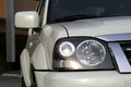 2007��¶�ϸ�����