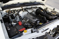 2007��¶�������