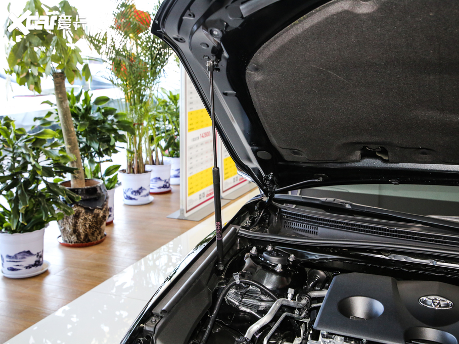 2019��P���� 2.0G ���A��