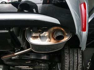 2019185T CVTƼ (gu)V Ś