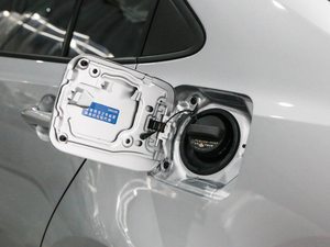 2019185T CVTƼ (gu)V w