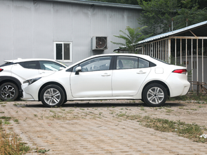 2019185T CVTA (gu)VI (c)