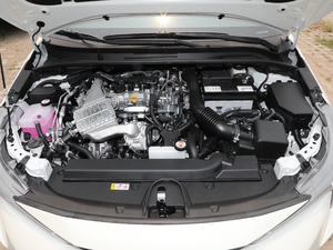 2019185T CVT (gu)VI l(f)(dng)C(j)