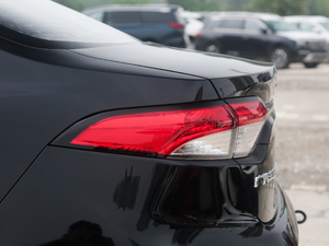 2019185T CVTA (gu)VI (x)(ji)^