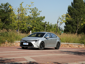 2019185T CVT\Ӱ VI w^