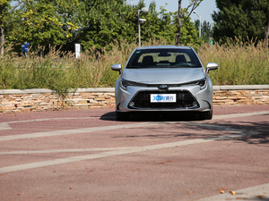 2019185T CVT\Ӱ VI w^