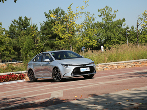 2019185T CVT\Ӱ VI w^