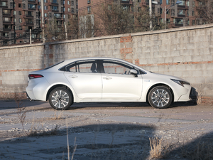 2019p 1.8H \Ӱ VI w^