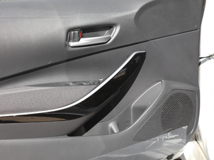 2019p 1.8H A (gu)V g