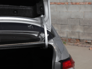 2019p 1.8H A (gu)V g