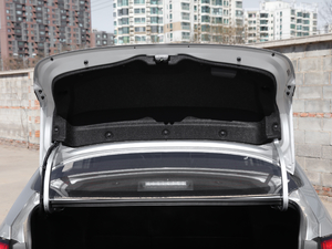 2019p 1.8H A (gu)V g