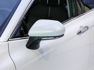 20192.5Q Ş  (x)(ji)^