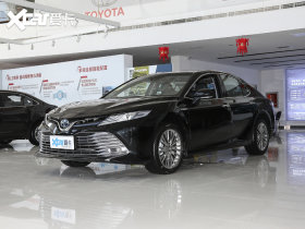 2019��P�����p�� 