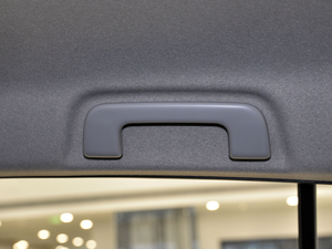 20201.5L CVTI(lng)Ȱ g