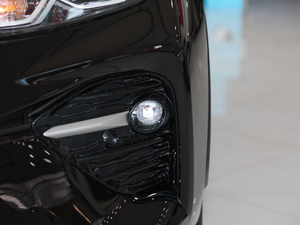 2020款2.0L CVT两驱尊贵版 前雾灯