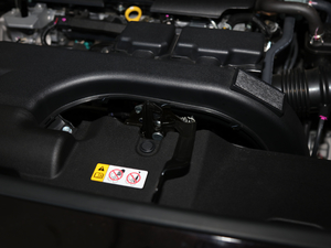 2020款2.0L CVT两驱尊贵版 其它