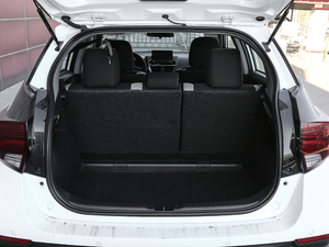 20201.5L CVTI(lng)Ȱ g