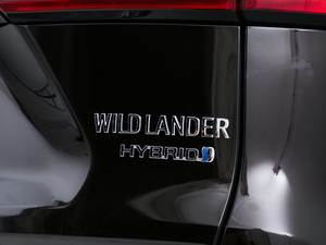 2020p 2.5L (q)F (x)(ji)^