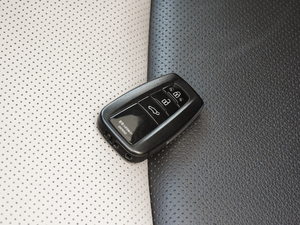 2020p 2.5L (q)F ܇耳