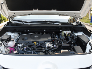 2020p 2.5L (q)F l(f)(dng)C(j)